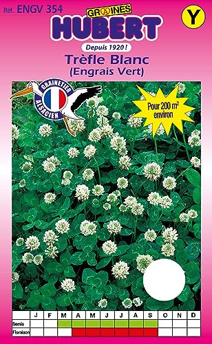 Graines de Trèfle Blanc Pour 200 m² - 200 grammes