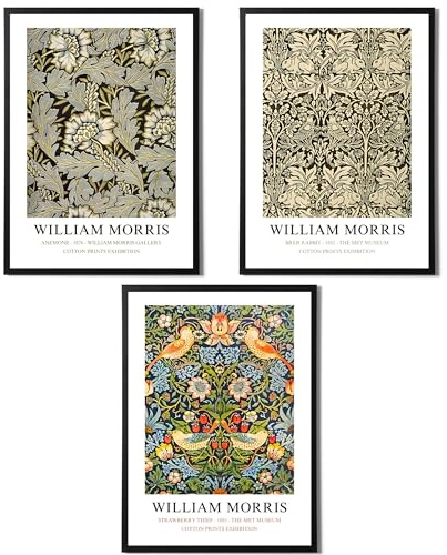 State Media Vision William Morris Set of 3 Art Prints - Anemone, Strawberry Thief, Brer Rabbit - Famous Artist Pictures Available in a Variety of Sizes (Set 4, A3 Print Only)