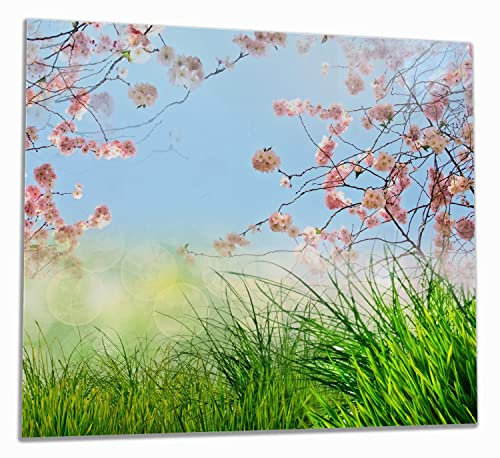 Wallario Herdabdeckplatte/Spritzschutz aus Glas, 1-teilig, 60x52cm, für Ceran- und Induktionsherde, Kirschblütenzweige und grüne Wiese- Frühling