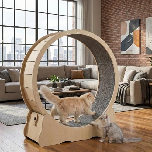 Keyzone Ruota per Gatti da Interni - Tapis Roulant con Pista in Moquette per Esercizi e Corsa - Altezza 99,8 cm