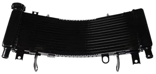 CLWYWUL Serbatoi radiatore Moto Compatibile con Suzuki per TL1000R 1998 1999 2000 2001 2002 2003 Radiatore per Motocicletta, Sostituzioni di Raffreddamento del Motore, Serbatoi del Liquido