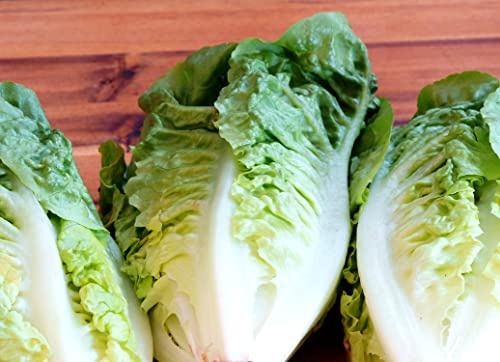 Kleinwüchsiger Butterkopf Salat Little Gem - Salate - 500 Samen