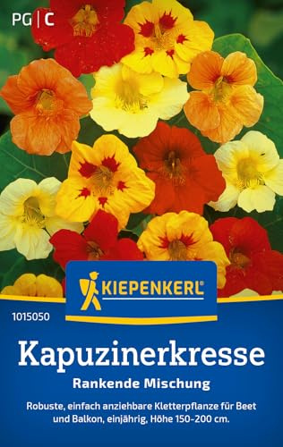 Kiepenkerl Kapuzinerkressesamen Rankende Mischung 1015050, Blumensaat | Wuchshöhe 150-200 cm, einjährig