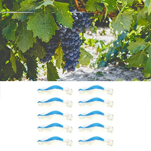 KUIDAMOS Red de Enrejado para Plantas Red de Malla de Jardín Duradera de 3 Hebras para Trepar Verduras y Flores 10 Piezas para Entusiastas del Aire Libre, 2x100 M