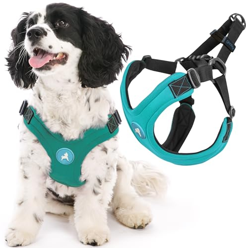 Gooby Escape Free Sport Dog Harness, Choke-Free, Turquoise, Small