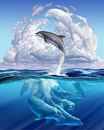 YEESAM ART Kunstbedarf Magische Delphin-förmige Wolke, Malen nach Zahlen Erwachsene 16x20 Zoll DIY Ölgemälde Zahlenmalerei Öl Wandkunst (Delphin, mit Rahmen)
