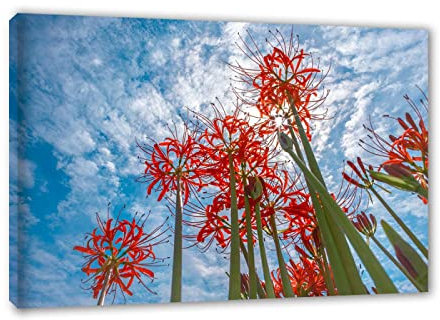GEILEX Art mural lys araignée rouge. Impression de Tableaux nature sur toile. Image d'art mural sur toile de paysage pour affiche de salon. Prêt à accrocher 80x120cm(31.5x47.3in) InnerFramed