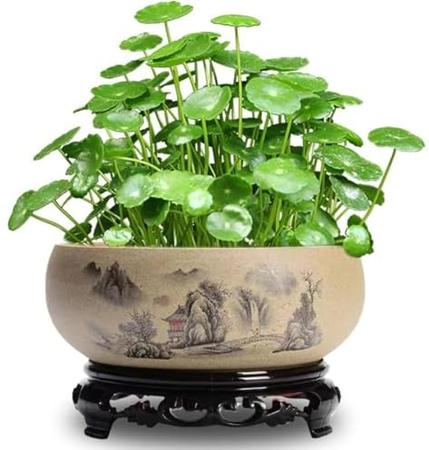 Lotus Bowl Planter,Lotus Bowls for Planting in Water Indoors,bonsai pot,Plant Container Bowl,Chinese Ceramic Lotus Plant Pot with Stand,Hydroponic Bonsai Bowl Lotus Flower for Bowl Lotus Flower Seeds