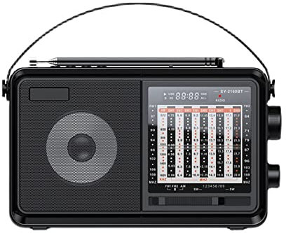 ZXNQ Multi-Function Radio FM/AM/SW Multi-Band Radio can be Operated by Rechargeable Lithium Battery/Support TF Card/U Disk/earphone