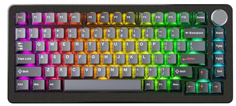 DrunkDeer A75 Pro Rapid Trigger Silent Magnetic Switch Mechanische Gaming Tastatur ANSI RGB PBT Tastenkappe 75% TKL 82 Keys Wired Cherry Profile USB