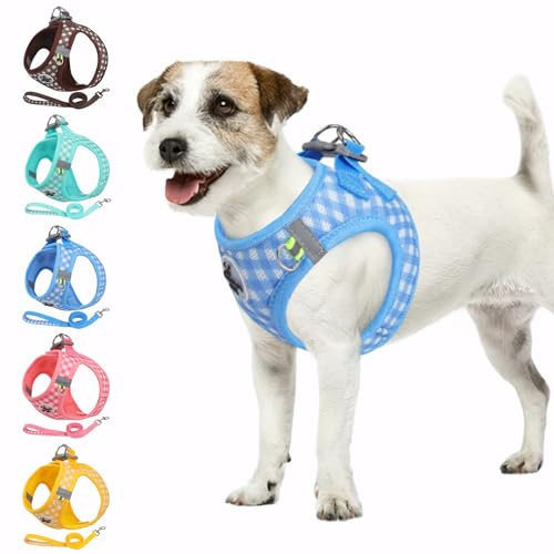 Poseca Hundegeschirr und Leine, weiches Netzgewebe, atmungsaktives Hundegeschirr zum Spazierengehen, reflektierend, verstellbar, Welpengeschirr, kein Ziehen, Haustiergeschirr und Leine, Set für kleine
