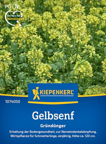 Kiepenkerl Gelbsenfsamen Weißsamiger Senf 1074050, Gründüngungssaat | Erhaltung der Bodengesundheit und zur Nematodenbekämpfung, Blumenwiese, für Beet & Hochbeet