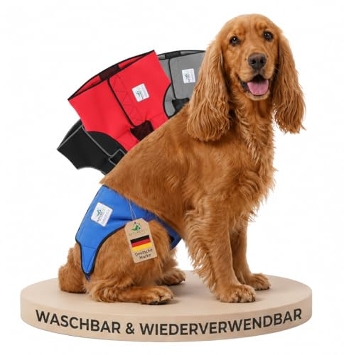 NATURE PET Premium Läufigkeitshose für Hündinnen – Hochwertige & Bequeme Hundewindeln für Hündinnen & Rüden – Waschbare Inkontinenz-Hundewindel ohne Einfädeln der Rute – S–L/Blau
