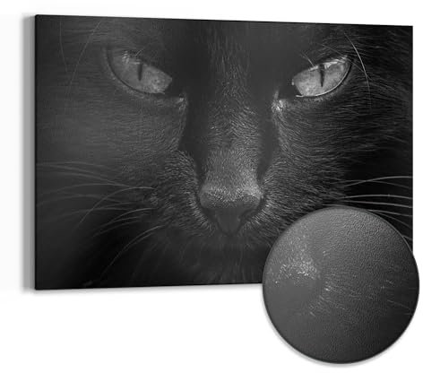 DEQORI Metall Magnettafel | 60x40 cm cm groß | Motiv Mystische Katzenaugen | Whiteboard für alle Magnete | Magnetboard Wand-Tafel für Küche & Büro | Design Magnetwand Pinnwand magnetisch