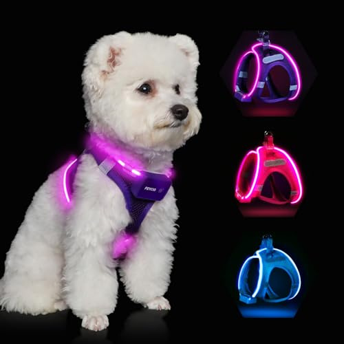 Feycig Luminous Dog Harness LED Rechargeable - Luminous & Reflective for Puppies Small Medium Dog Chest Harness Breathable Luminous Harness (Purple, Small)