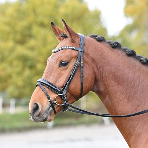 Busse