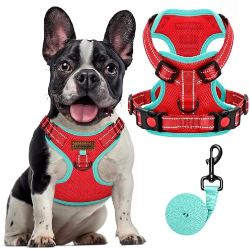FAYOGOO Hundegeschirr, Kein Choke Front Clip Hund Reflektierendes Geschirr, No-Pull Verstellbare Weiche Gepolsterte Haustier Weste Set für kleine Mittlere Große Hunde Gehen (Rot, XS)