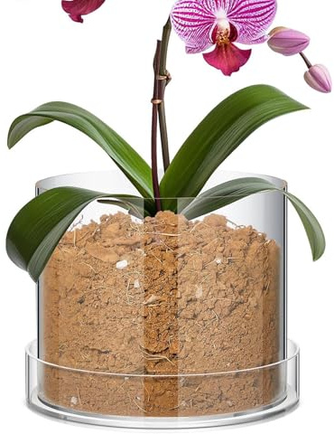 Stronrive Macetas De Vivero Transparentes - Tiestos De Vivero Claros | con Drenaje Reutilizables Acrílicos para Plántulas Jardín Interior Plantación Flores