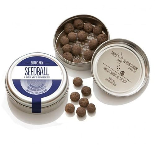 Shade Mix - mix di semi di fiori di campo Prato Ombra, confezione in alluminio