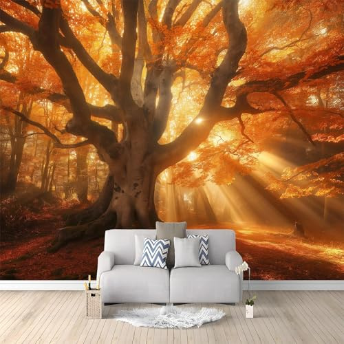 Poster Giganti da Parete Autunno Natura Foresta Alberi Arancia Colore Arancione Fotomurale Carta da Parati TNT Murale alla Moda Decorazione da Muro, Fotografica Murale per Camera Letto Sala 350x256 cm