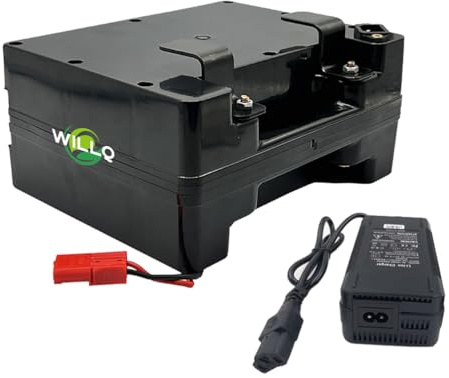 WILLQ Batería de Litio de 24 V para Respaldo de Silla de Ruedas, 24 V, 12 Ah, 15 Ah, 18 Ah y 20 Ah, con Cargador y Puerto Anderson.,24v18ah