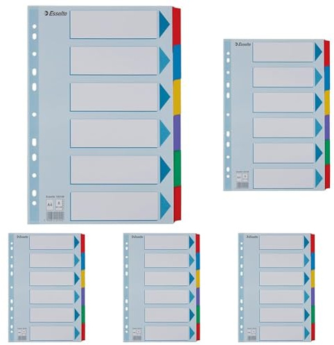 Leitz Esselte Register für A4, Deckblatt und 6 Trennblätter mit Taben, Blau/Mehrfarbig, Recyclingkarton, 100168 (Packung mit 5)