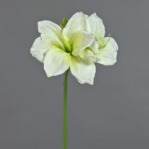 artplants.de Kunst Amaryllis NARWELA, weiß-grün, 70cm, Ø10-13cm | Deko Amaryllis