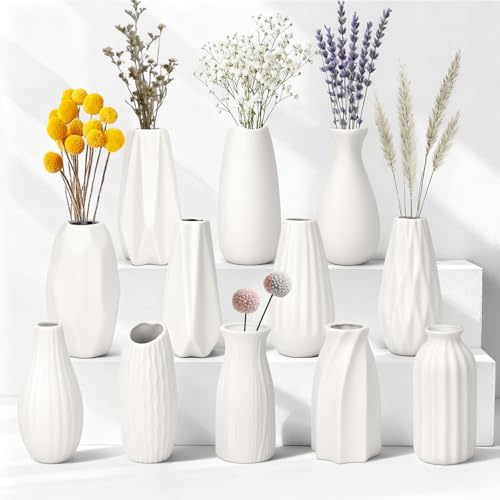 JBER 12 små pampasgräs, dekorativa set – 13 cm vit keramisk blomvas, matta, vas för torkade blommor, modern heminredning, boho, skandinavisk dekoration, vas, dekoration för vardagsrum, bröllopsbord
