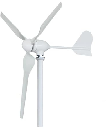 Aerogenerador Generador de molino viento turbina eólica almacén 800W 12V/24V/48V for uso en granjas domésticas(48V)