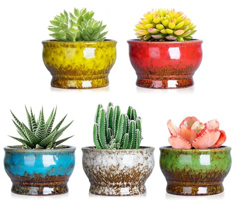 ARTKETTY Vasi per piante grasse, vasi in ceramica per cactus con drenaggio, confezione da 5, piccoli vasi per piante da interno ed esterno, contenitore per piante da interno o esterno