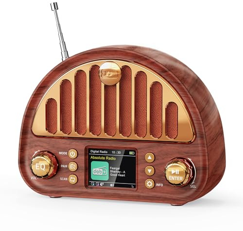 Mesqool Radio portatile DAB+/FM, radio retrò con Bluetooth 5.0, radio nostalgica, piccola con batteria da 3000 mAh e display a colori, effetto audio EQ, 80 preimpostazioni, porta TF/AUX, doppia