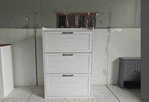 FiveWillowise Shoe Storage Cabinet OUT OF STOCK