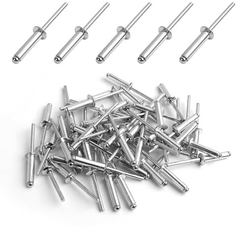 50 Pezzi Rivetti Ciechi in Alluminio con Grande Flangia, Rivetto cieco in alluminio, Rivetti Ciechi in Lega di Alluminio, per Costruzioni, Automobili, Nautica e Mobili (Argenté, 4.8mm x 20mm)