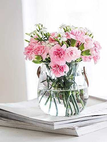 Pot de fleurs en verre et cuivre fait à la main - Pot de fleurs décoratif transparent - Grand format