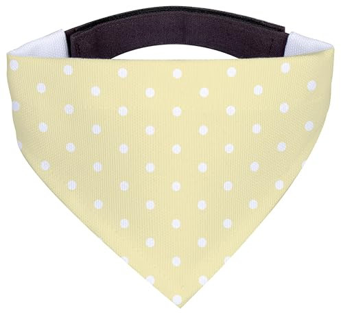 Mr. & Mrs. Panda Hundehalstuch L Waschbär - Geschenk, Fröhlich, Tagträumen, Seifenblasen, Lustige Sprüche, Halstuch Hund, Plan, Für Hunde, Hundeschal, Bandana, Waschen, Schal