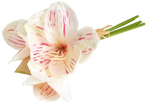 Botanic-Haus künstliches Amaryllis Bündel (weihnachtliche Blume) mit 3 Blüten und 1 Knospe Farbe: Creme-Beauty