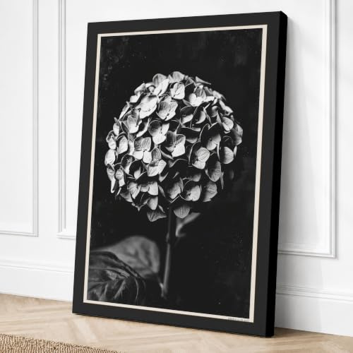 Hydrangea Study Botanical Canvas Wall Art Print 24x16 Inch | Ready to Hang, Gallery Wrapped, Fade-Resistant Inks, Securely Packaged, UK Made