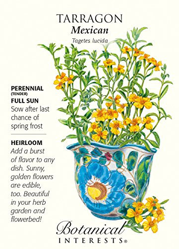 Messicano-Estragonsamen – 250 mg – Tagetes Lucida