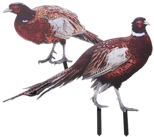 BESPORTBLE Acrylic Pheasant Garden Stakes 2 Pack Double-Sided Uv Printed Lawn Decoration Outdoor Yard and Flower Pot Ornament