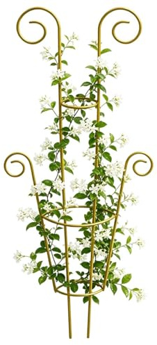 Traliccio Portapiante Supporto per rampicanti da giardino | Supporto A Traliccio Per da terrazzo ed all'esterno pothos, monstera, geranio ed per i giardinieri