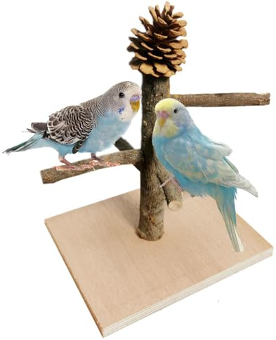Supporti Per Pappagalli Di Addestramento In Legno Naturale