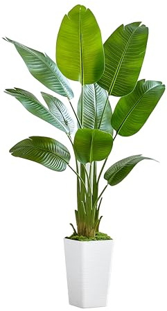 Bird of Paradise Artificial Plant, 5FT Faux Plants Indoor Banana Leaf Tree with 9 Leaves, Large Fake Tropical Potted Indoor Silk Floor Plant with White Tall Planter for House,Office,Room,Home Decor