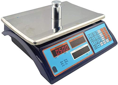 CEHJZQRPL Bilancia Elettronica capacità 30 kg Bilancia Elettronica Digitale ad Alta precisione Bilancia di conteggio Multifunzionale Portatile for Alimenti da Ristorante Carne Frutta