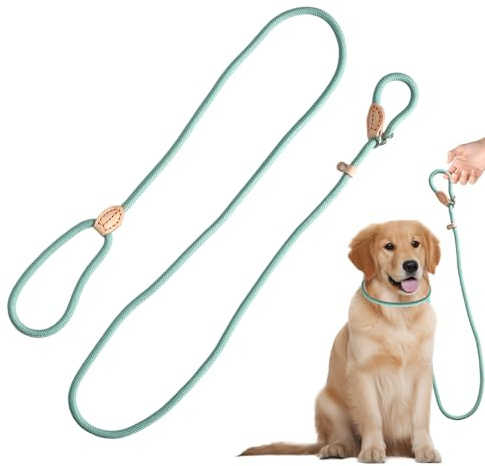 Rieoany Laisse Anti Traction Chien, 180cm Longe pour Chien en Polyester, Laisse Lasso Adjustable, Léger Contrôle pour Promenade Education Canine, Cyan