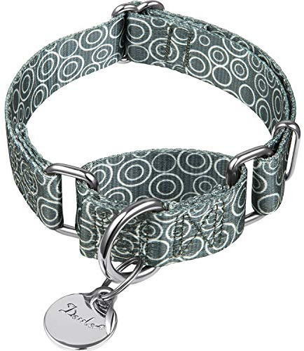 Dazzber Martingal Halsbänder für Hunde, Einstellbar-Heavy Duty- Weiche-Glatte-Leichtes Gehen Sie den Hund für Große/Klein Hunde (Mittlere, 2.5cm Breit, Warmes Grau)