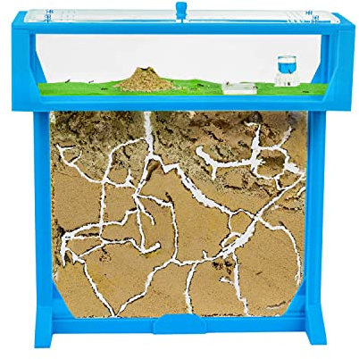 AntHouse.es - Hormiguero Natural de Arena | Kit 3D T Big 25x20x1,5 cm | Granja de Hormigas Azul | Colonia de Hormigas Incluida