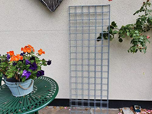 2 Pack Metal Garden Trellis Mesh Panels 115cm x 45cm 3 x 3 Holes(Heavy Duty 4mm wire)