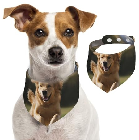 Hundehalstuch, Golden Retriever, Laufen, Haustier-Schal, verstellbar, waschbar, doppelseitig, Haustier-Halstuch, Baumwolle, Dreieck-Lätzchen, Hunde-Schals, Katzenschals für Welpen, Kostüm, Zubehör