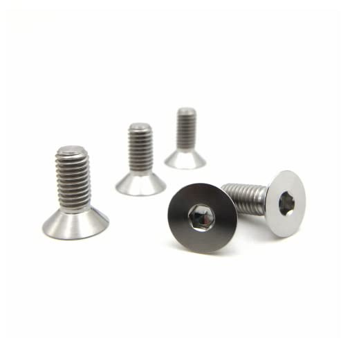 RISON-Titanium Tornillos de Cabeza Avellanada de Titanio M6x1.0x20mm, Tornillos Allen con Cabeza Plana Aleación de Titanio GR5, Tornillo con Hexágono Interior para Motocicleta, Bici, 5 Unidades