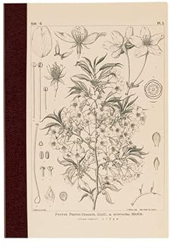 ほぼ日 Hobonichi Techo Accessories Hobonichi Graph Notebook (A5) - Yamazakura
